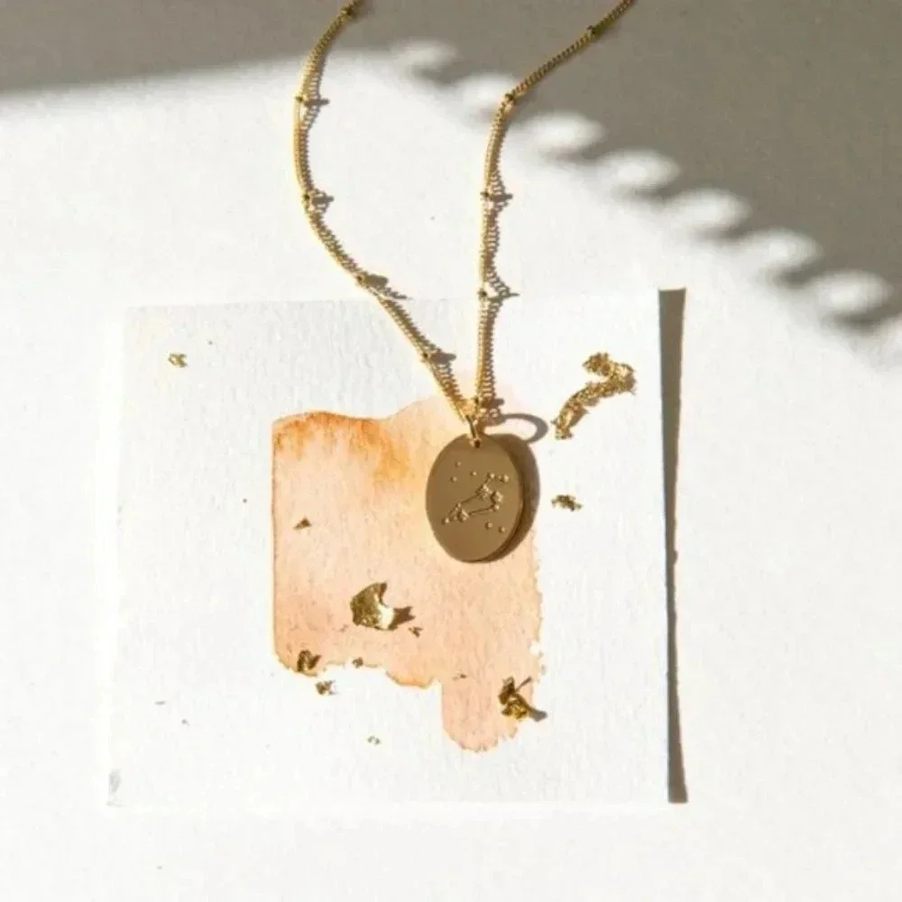 Leo Minimalist Zodiac Charm Oval Disc Necklace